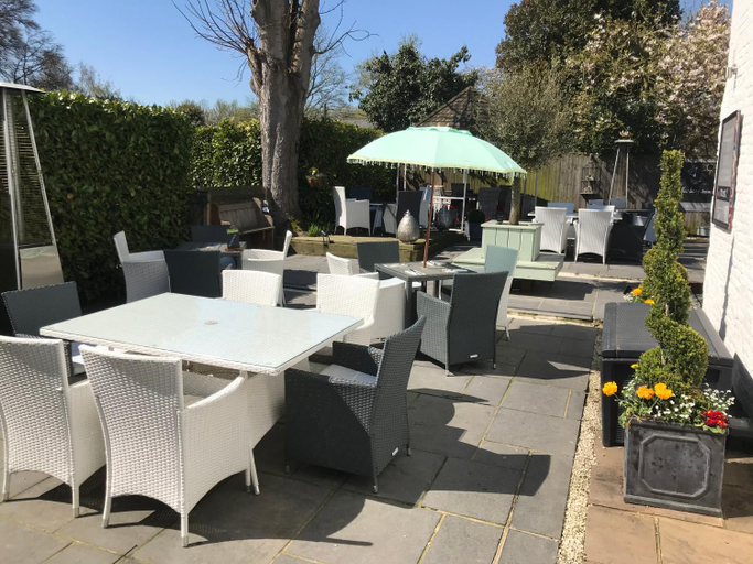 Food & Drinks 5, The Dog at Wingham, Kent