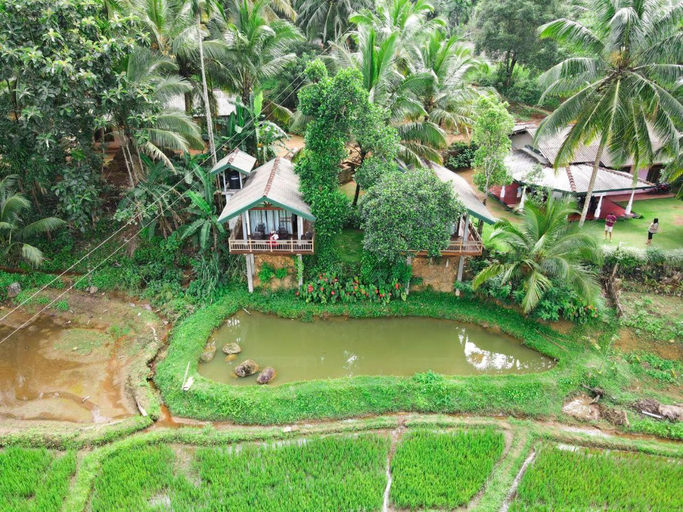 Others 5, Rainforest Nest, Kotapola