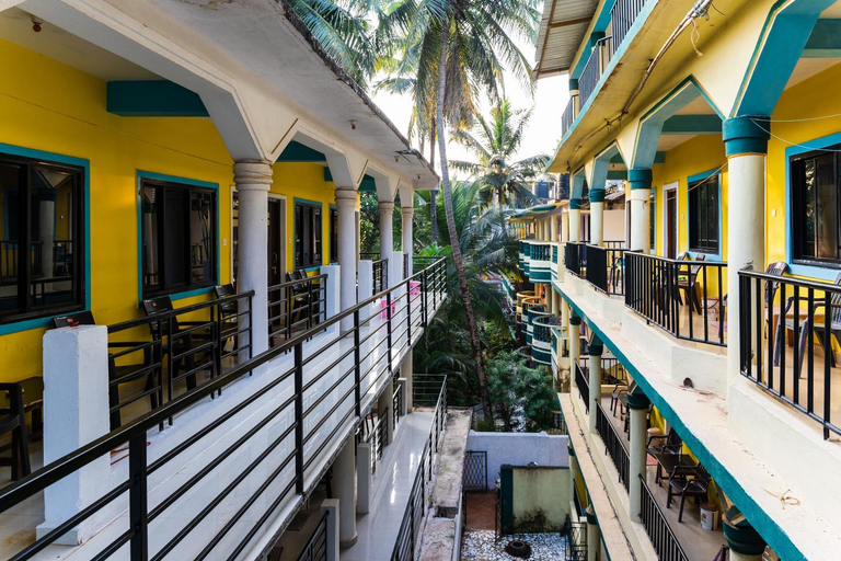 Others 2, IVON Guest House Arambol, North Goa