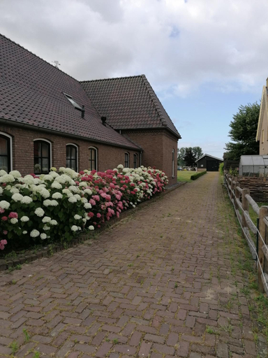 Others 2, B&B d'n Uilenhof Haren, Oss