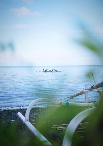 Scenery 16