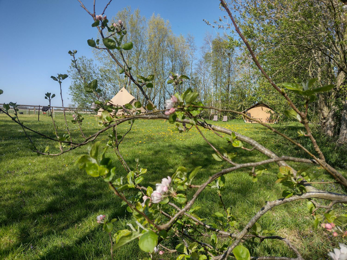 Others 2, Grytmanshoeve, Vakantiehuis met glamping, Dongeradeel
