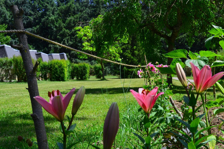 Others 5, Les gites de Beille, Ariège