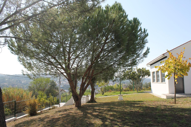Others 5, Albergue da Juventude, Vila Nova da Barquinha