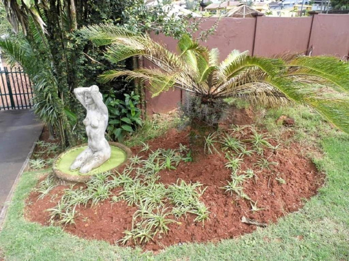 Others 5, Bougainvillea, eThekwini