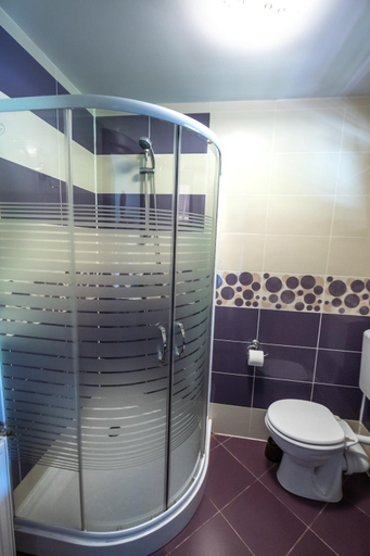 Bathroom 2, Casa de vacanta Sadu, Cisnadie