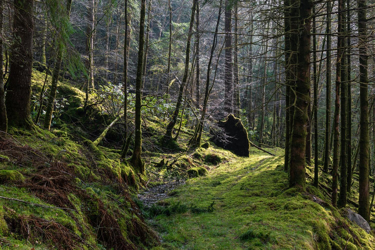 Others 5, Inveraray Hostel, Argyll and Bute