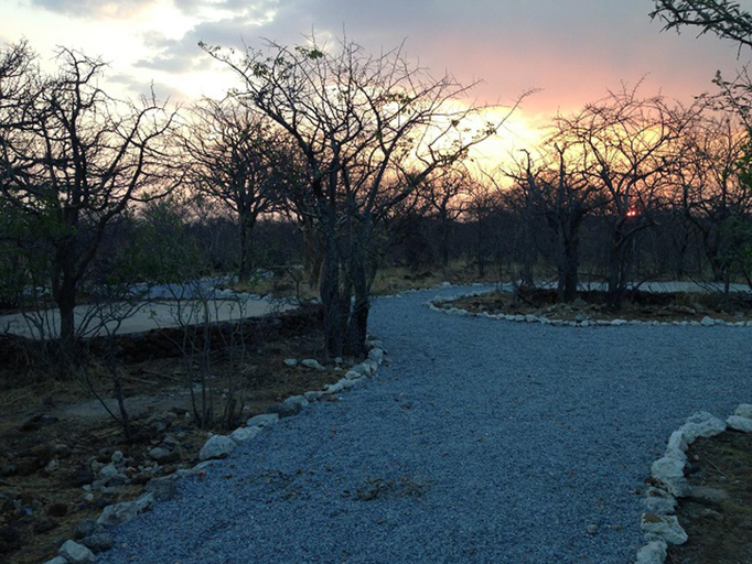 Surrounding environment, Etosha Village Campsite, Outjo