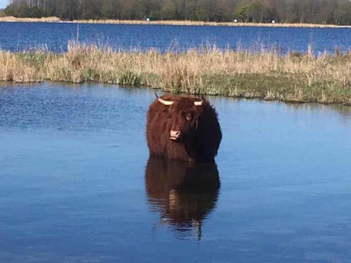 Others 4, BnB Purmerland, Landsmeer