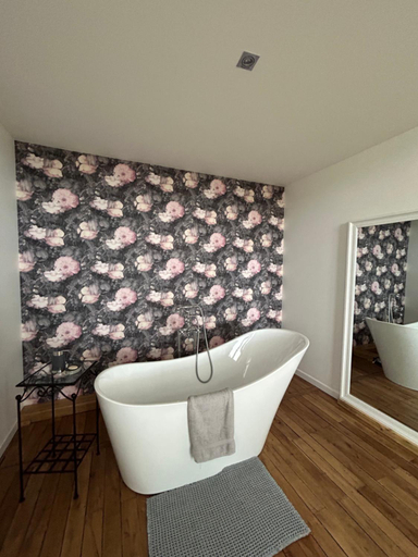 Bathroom 3, Chateau de la Bouchatte chambre les Roses, Allier