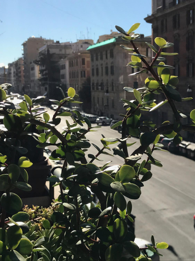 Exterior & Views, Pardis, Rome