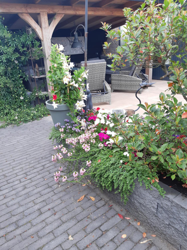 Others 4, Weerribben Wieden gastenverblijf, Steenwijkerland