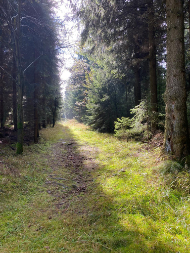 Others 4, Haus ZUR PINGE, Sächsische Schweiz-Osterzgebirge