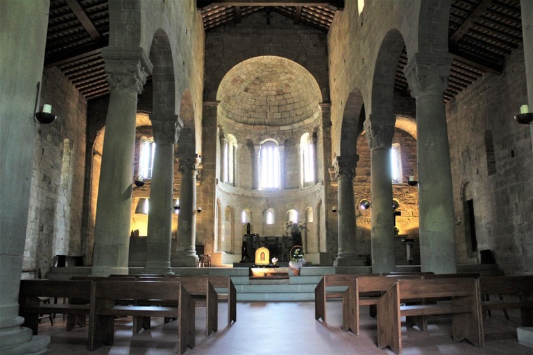 Others 4, B&B BORGHI, Arezzo