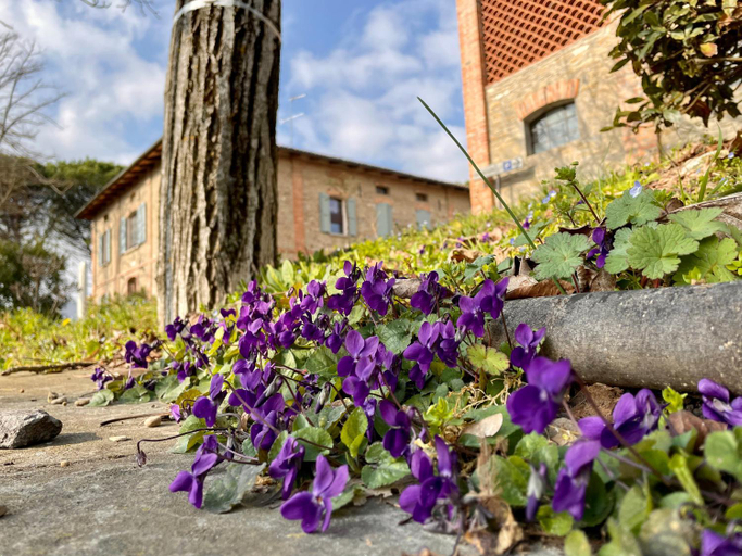 Exterior & Views 1, Il Cardello Locanda, Ravenna