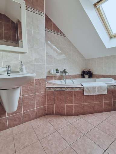 Bathroom 3, Penzion pod Kostelickem, Třebíč