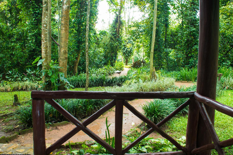 Others 5, Kibale Forest Camp by NATURE LODGES LTD, Kibale
