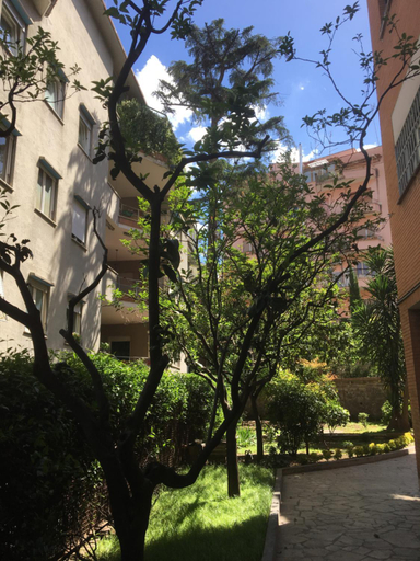 Others 4, GLI ARANCI Apartment , Rome