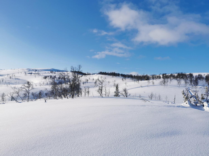 Others 3, Korgfjellet Fjellstue as, Hemnes