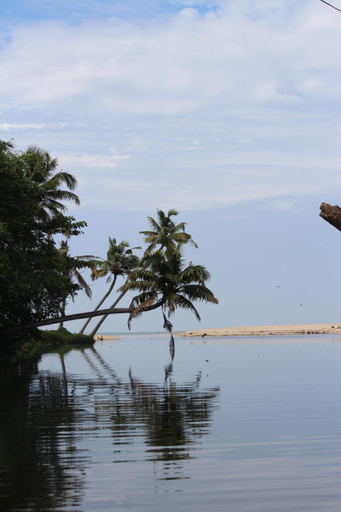Others 3, Telma Beach Homestay, Alappuzha