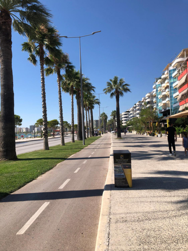 Others 4, Olive house., Vlorës