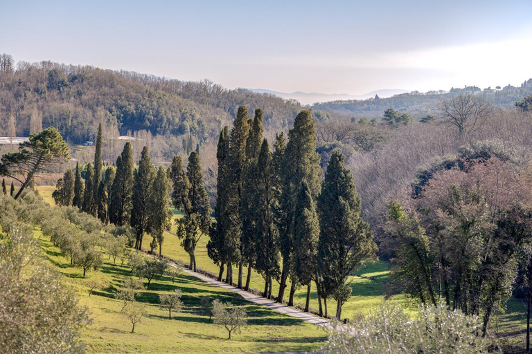 Others 5, Rivo della Corte, Pistoia