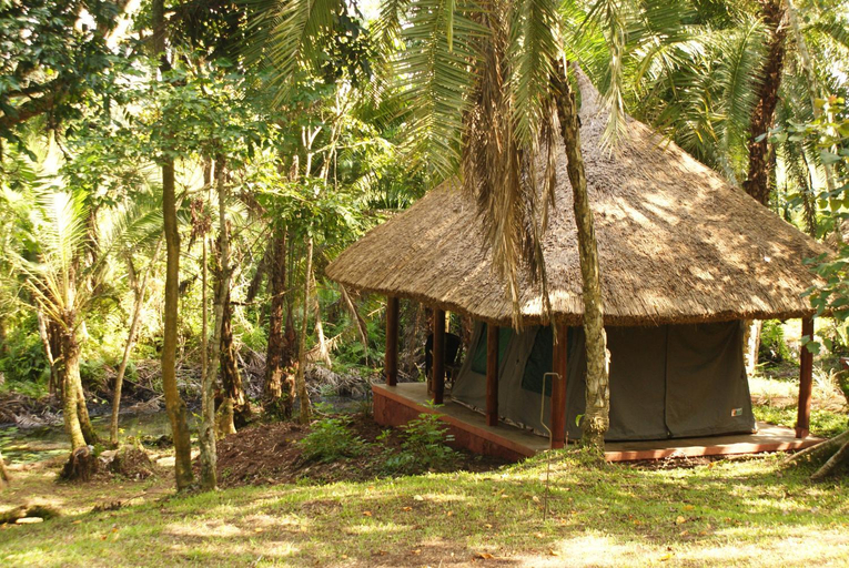 Others 2, Kibale Forest Camp by NATURE LODGES LTD, Kibale