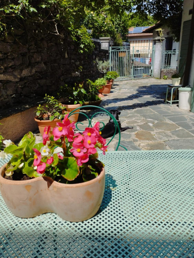 Others 5, B&B Il Poggiolo, Verbano-Cusio-Ossola