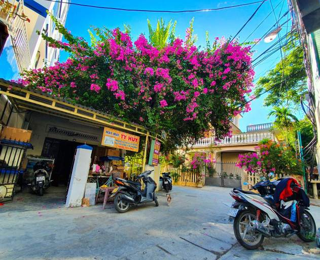 Others 4, SAM SAM HOSTEL, Da Nang