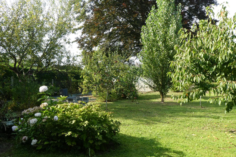 2, Les2 cerisiers, Manche