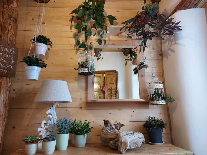 Public Area, B&B SognoInCadore, Belluno
