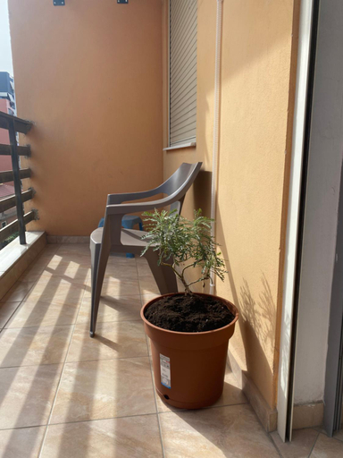 Others 5, Home Sweet Home - Guest House, Tiranës