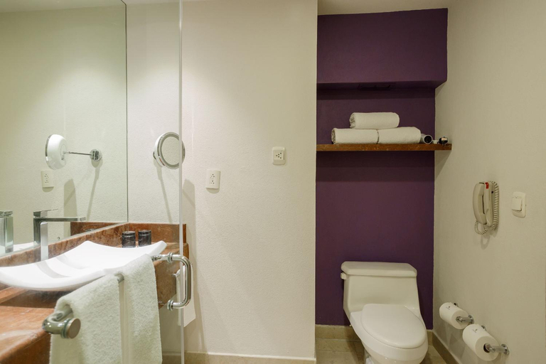 Bathroom 4, Camino Real Pedregal, Mexico City