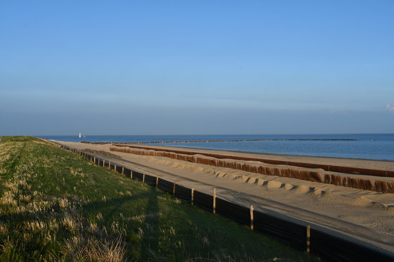 Others 5, B&B Waddenzeetexel, Texel