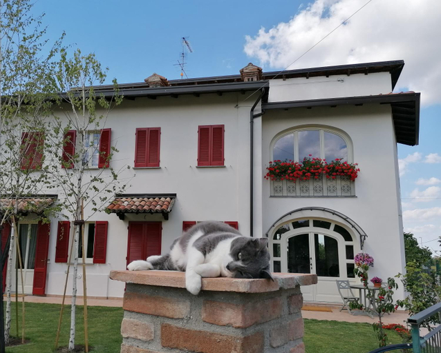 Others 4, la Mafalda in Oltrepo, Pavia