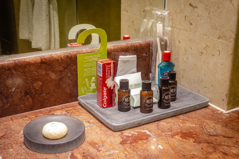 Bathroom 4, Camino Real Pedregal, Mexico City