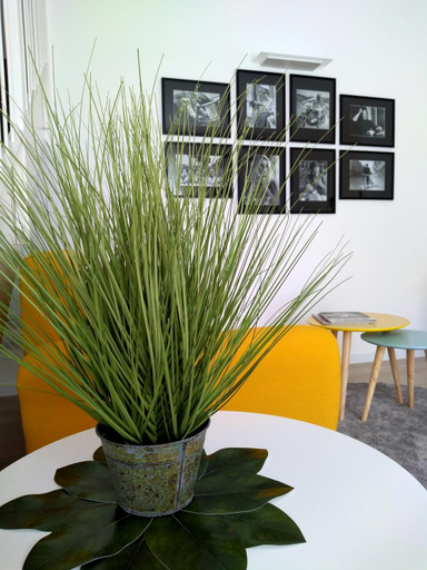 Others 4, Le Mandragole B&B, Treviso