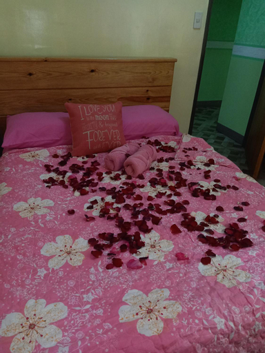 JO-ZA-NA's Hostel(bed and breakfast), Baguio City