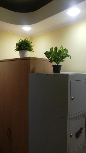 Others 3, ArArAt-HOLOSIIVSKYI Hostel KYIV, Holosiïvs'kyi