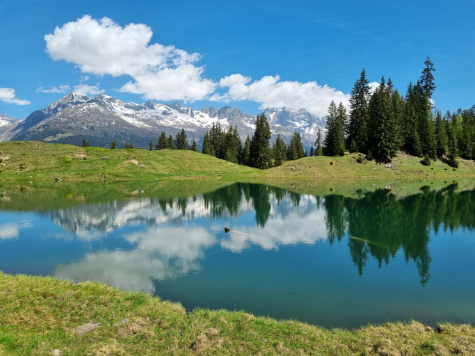 Others 2, Casa Pasch - Boutique Bed and Breakfast in Cumpadials, Surselva