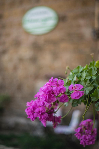 Others 5, B&B Etruscan Garden, Viterbo