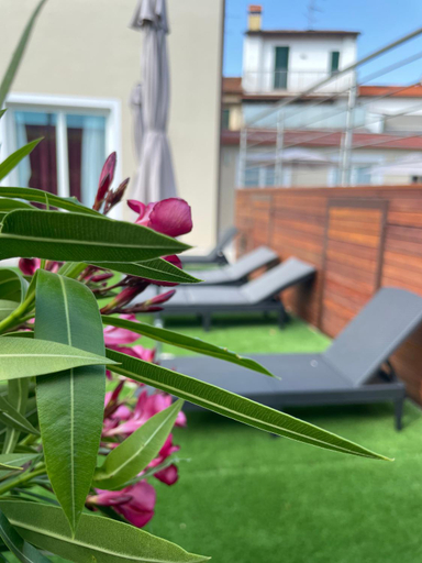 Exterior & Views 1, PETIT HOTEL, Prato