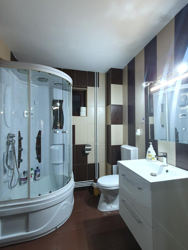 Bathroom 2, Vila Flora in Gura Humorului, Gura Humorului