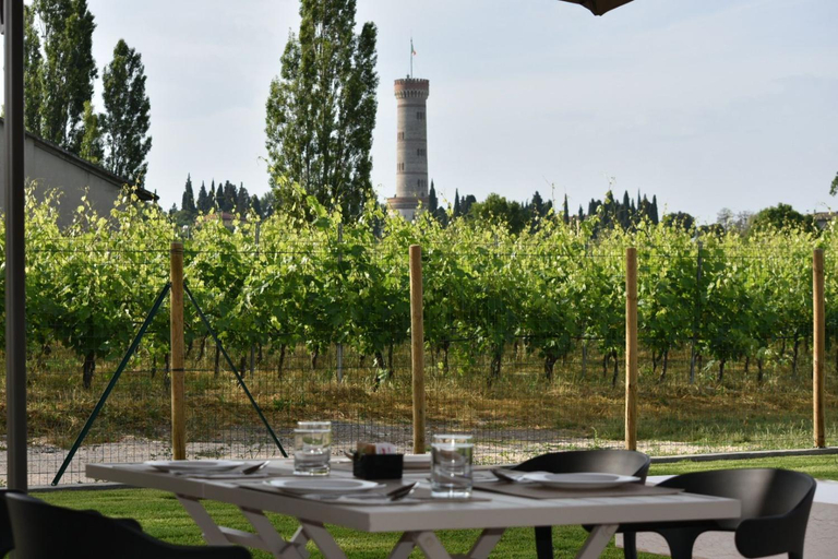 Food & Drinks 5, Il Vigneto, Brescia