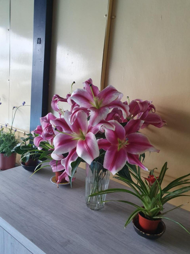 Others 4, Stay if you wish Homestay, New Taipei City