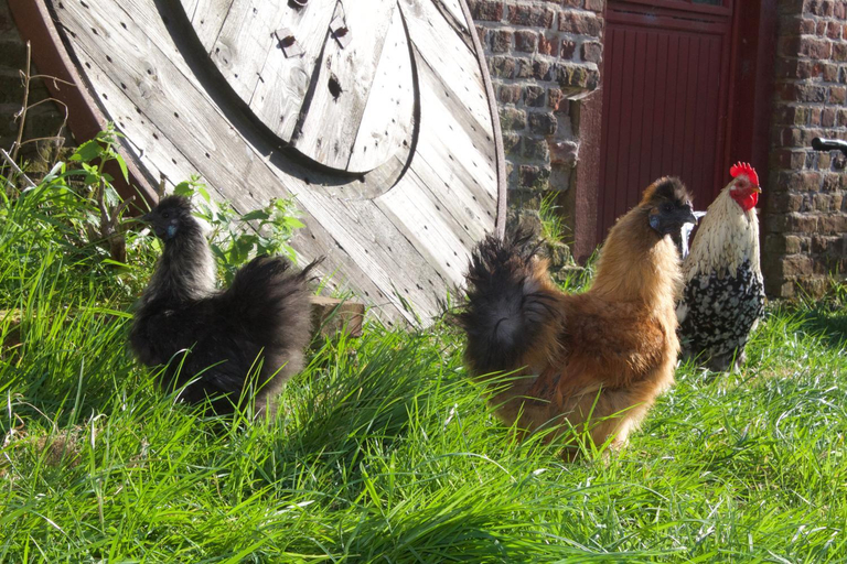 Others 2, Welkom huis, Nord