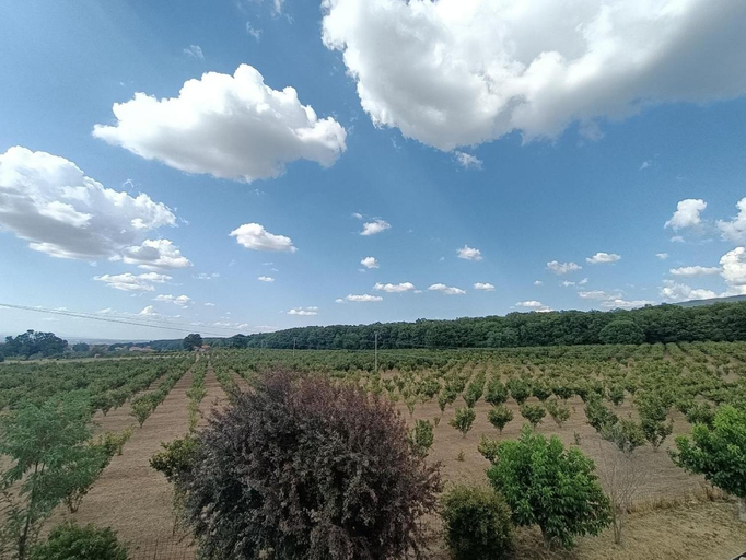 Others 5, Il Sartore, Viterbo