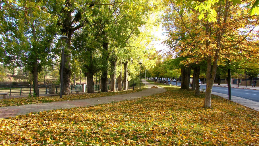 Others 2, Bed and breakfast, Ifrane