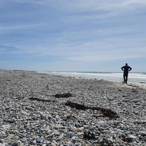 Others 4, Les gites de Treguennec, Finistère