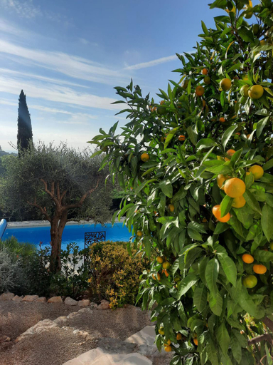 Others 5, Les Hauts de la Riviera, Alpes-Maritimes